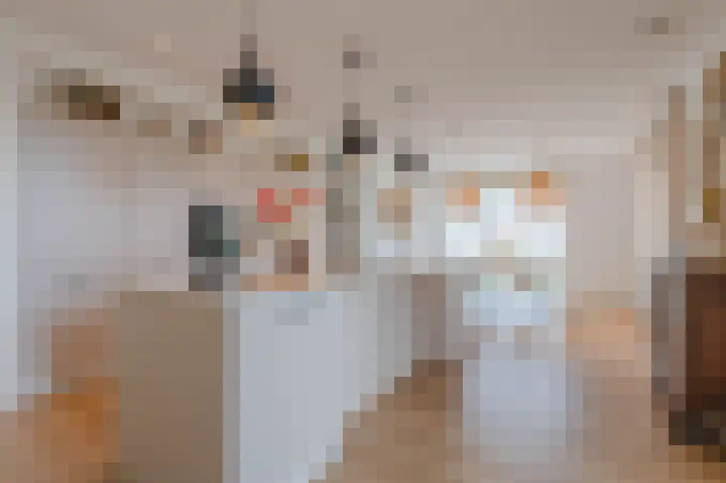 Tureluur 50 Venray thumbnail 22