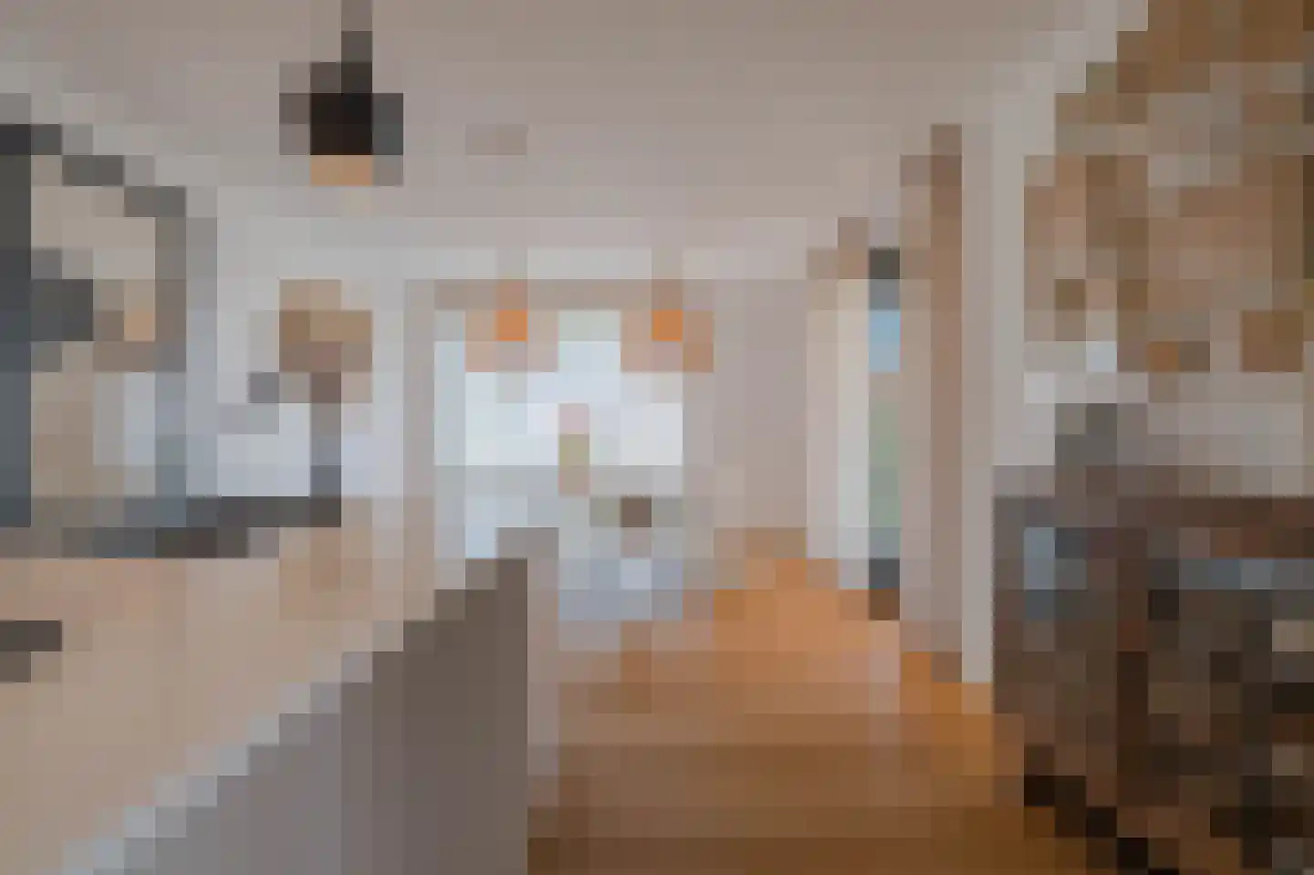 Tureluur 50 Venray thumbnail 23