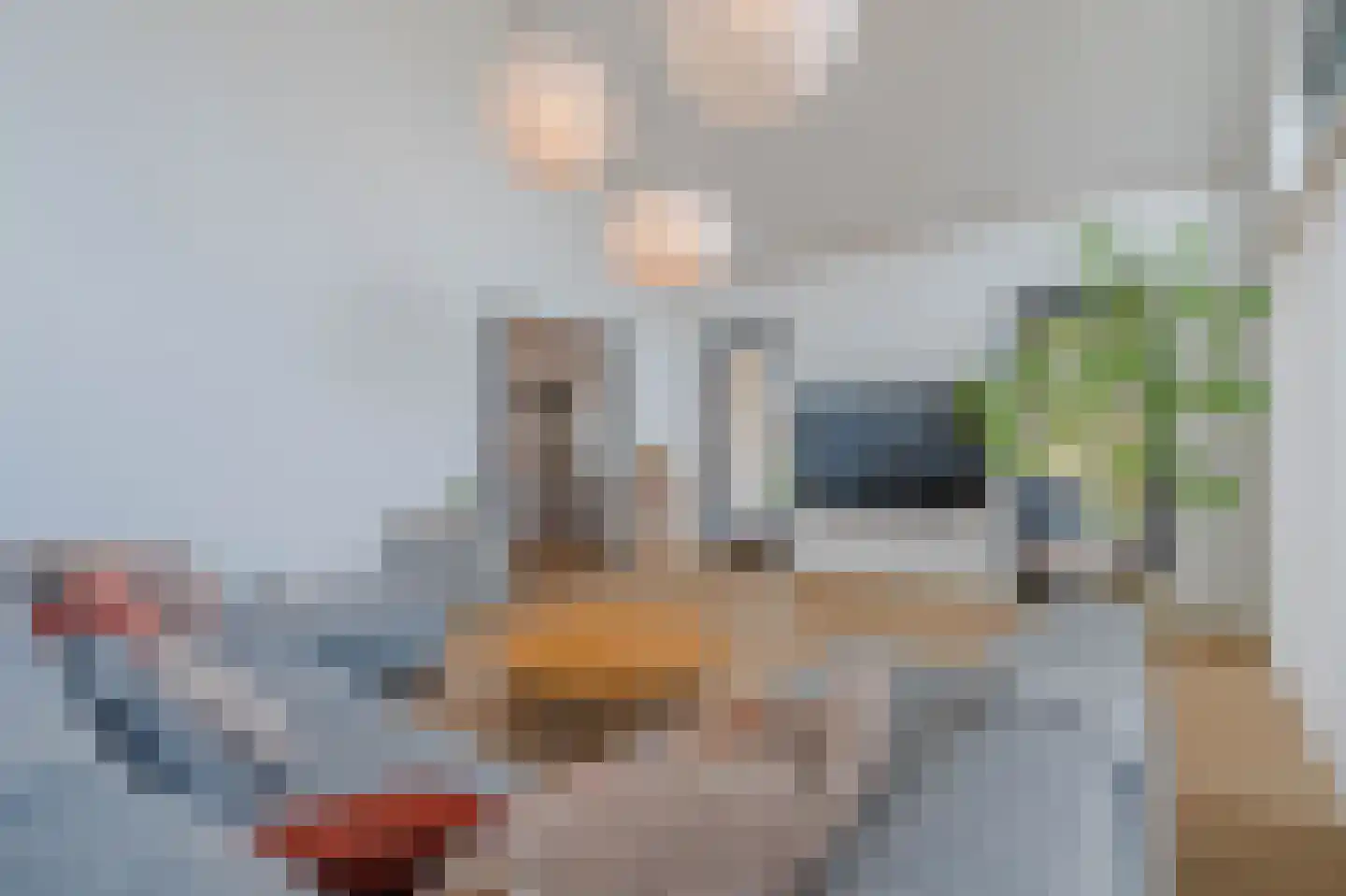 Tureluur 50 Venray thumbnail 32