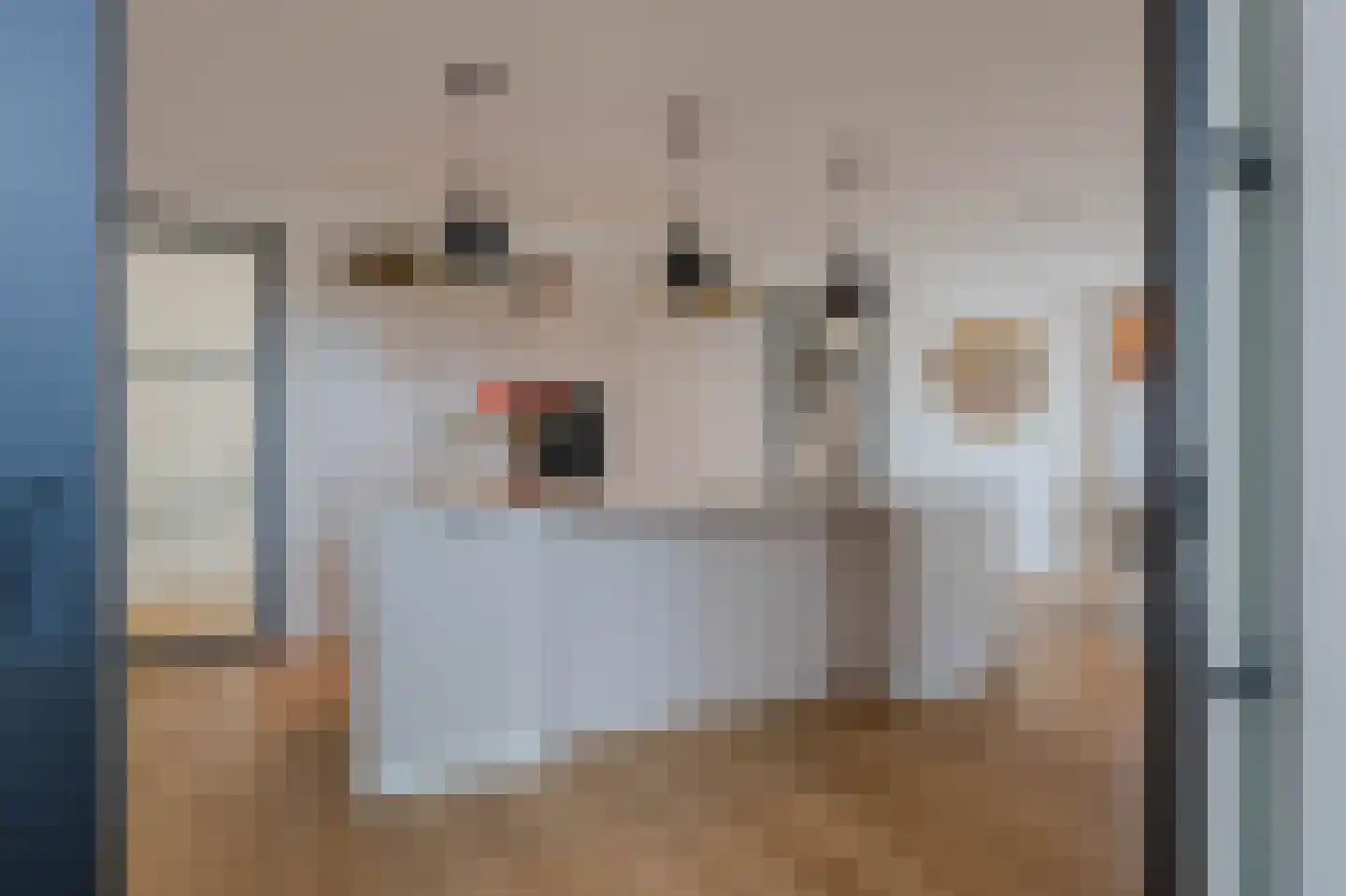 Tureluur 50 Venray thumbnail 33