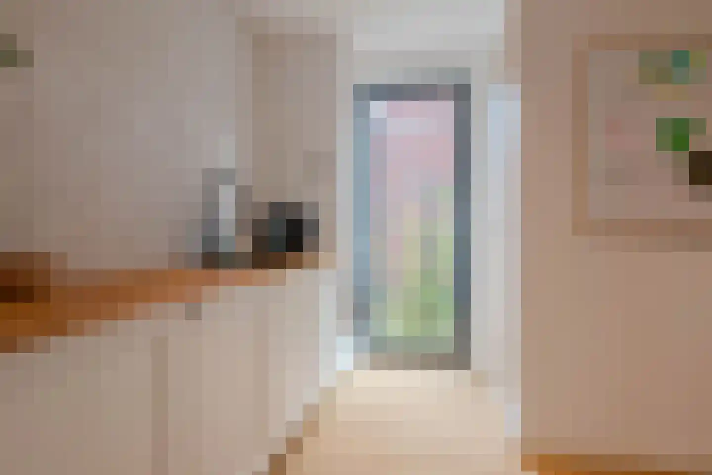 Tureluur 50 Venray thumbnail 36