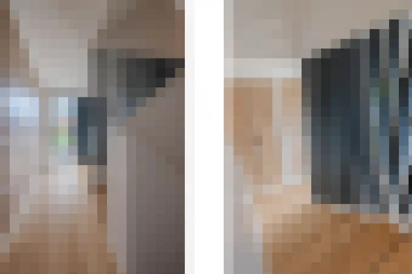 Tureluur 50 Venray thumbnail 39