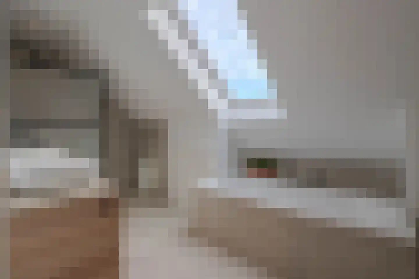Tureluur 50 Venray thumbnail 50