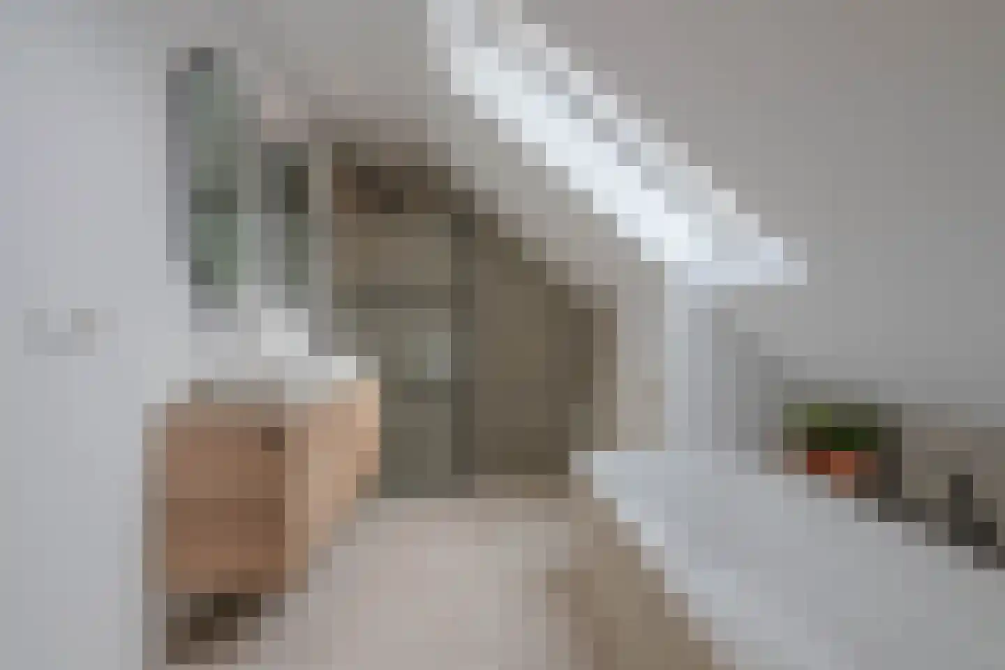 Tureluur 50 Venray thumbnail 51