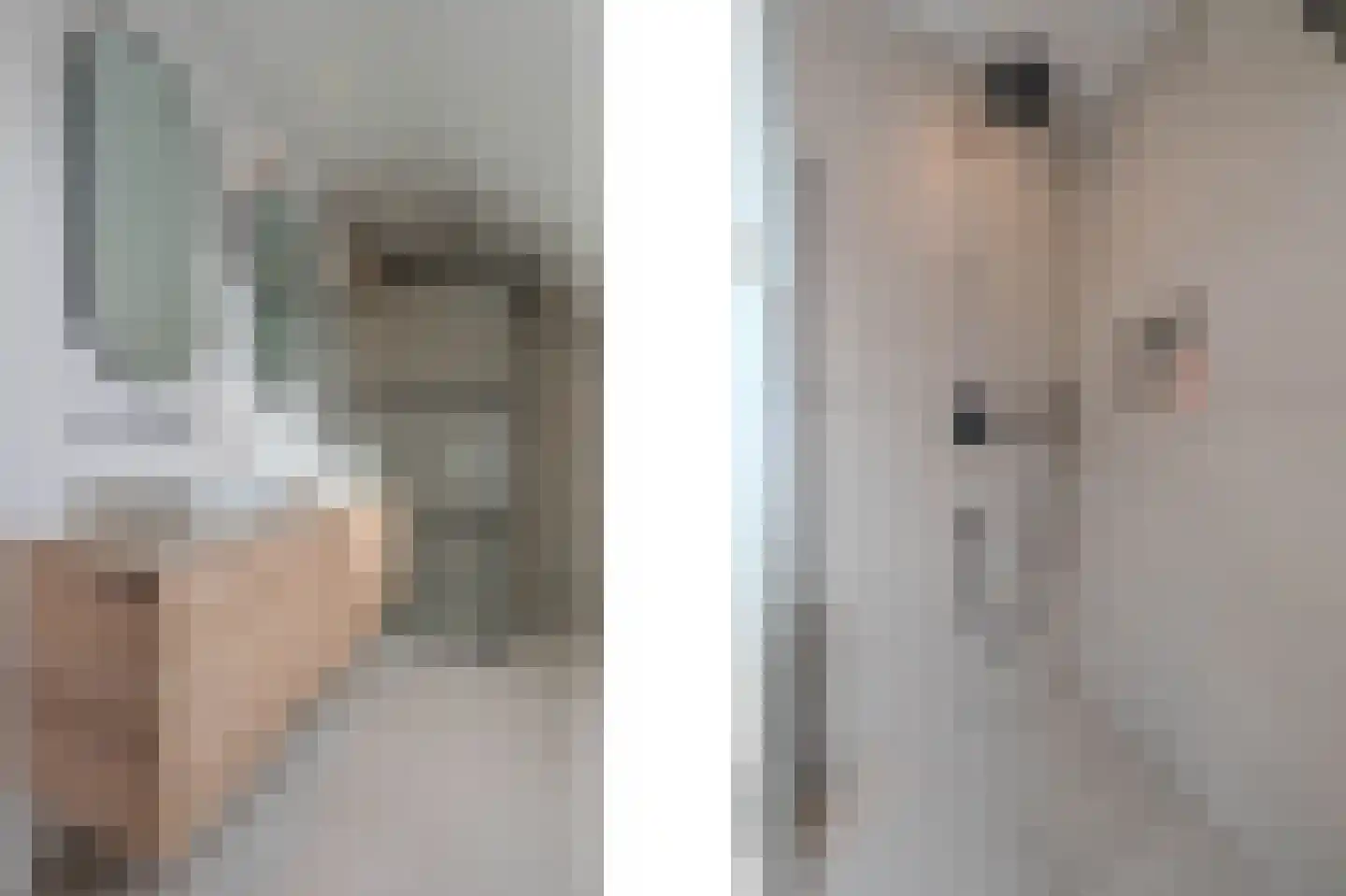 Tureluur 50 Venray thumbnail 52