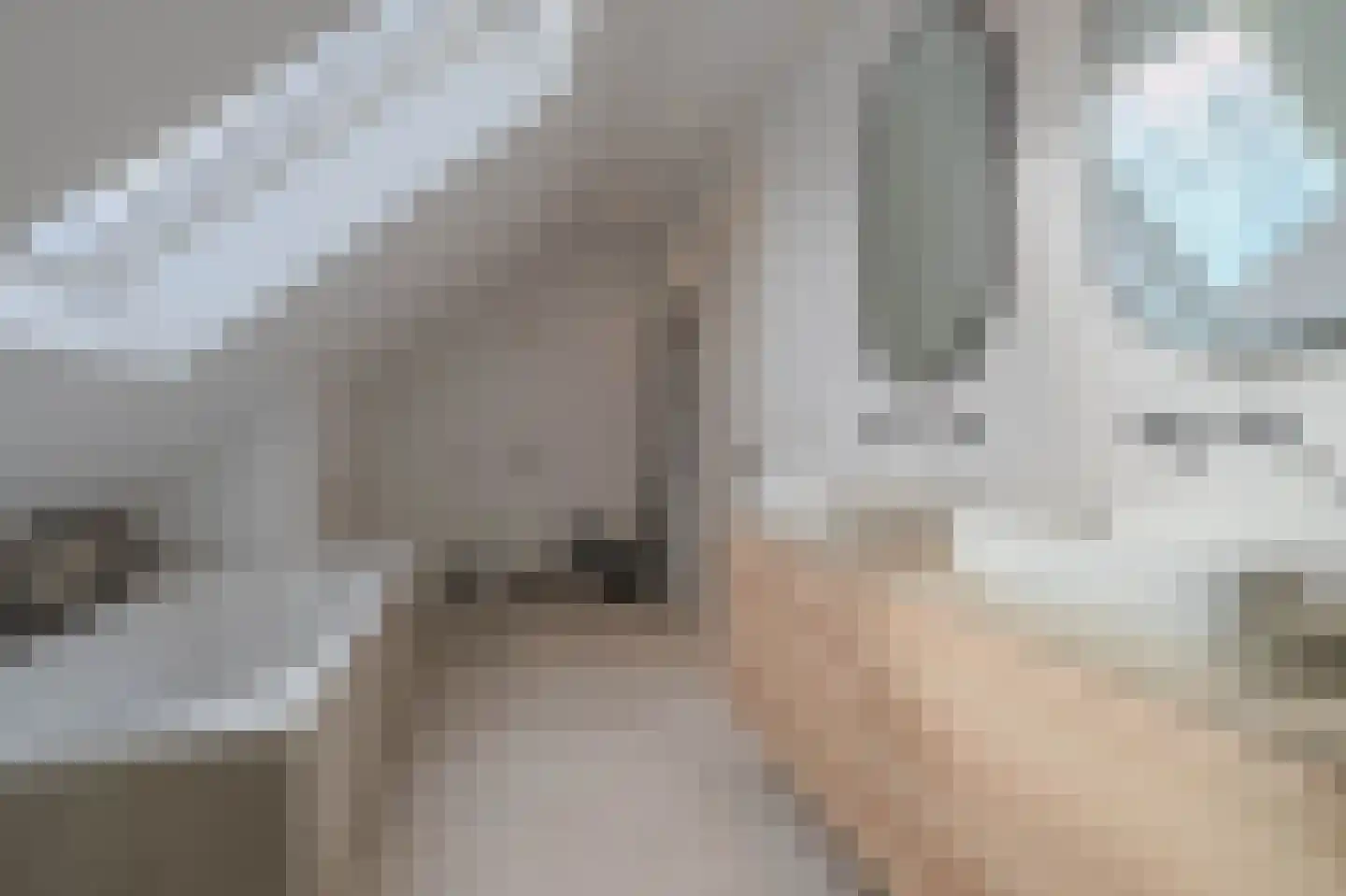 Tureluur 50 Venray thumbnail 53