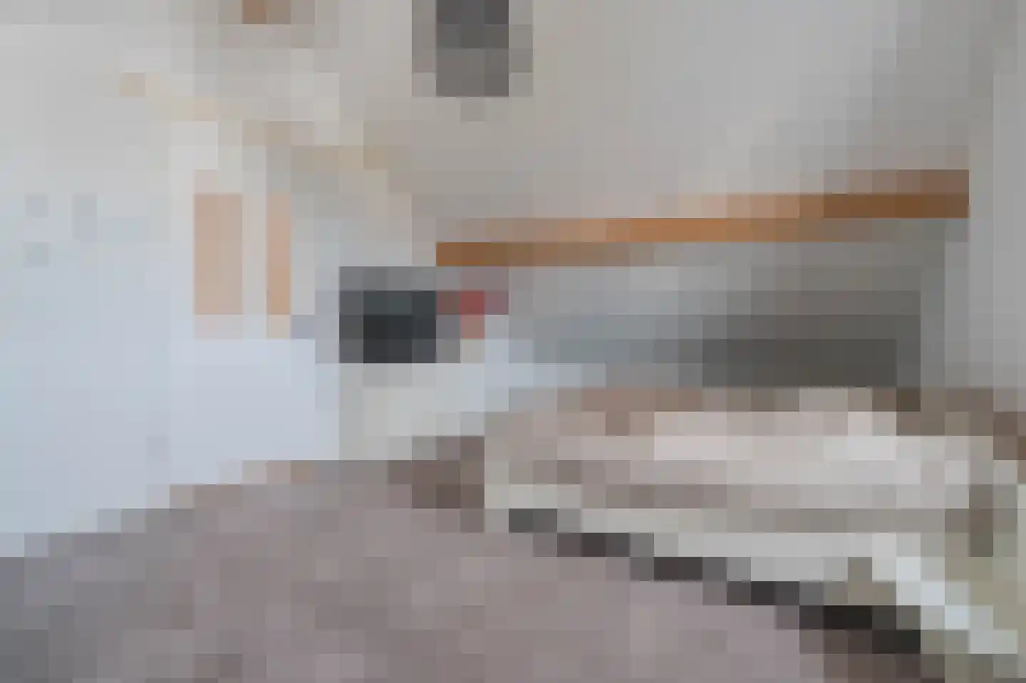 Tureluur 50 Venray thumbnail 58