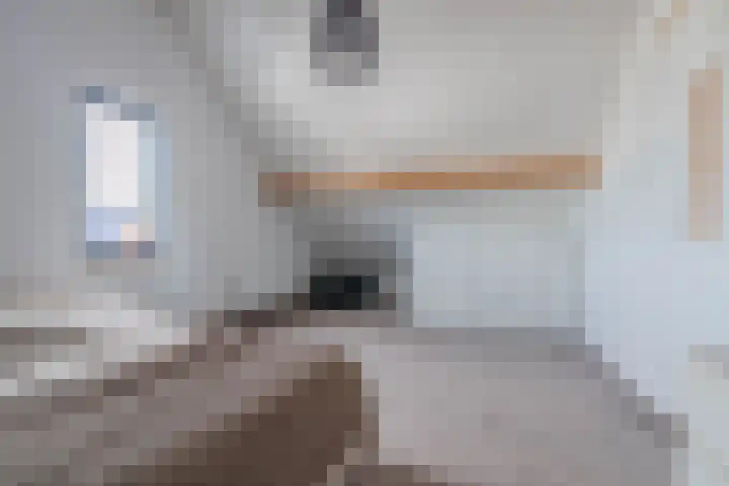 Tureluur 50 Venray thumbnail 59