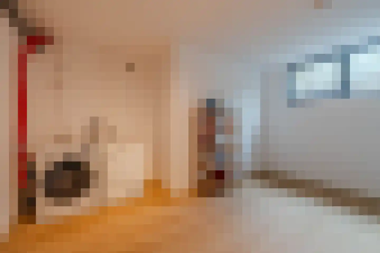 Tureluur 50 Venray thumbnail 62