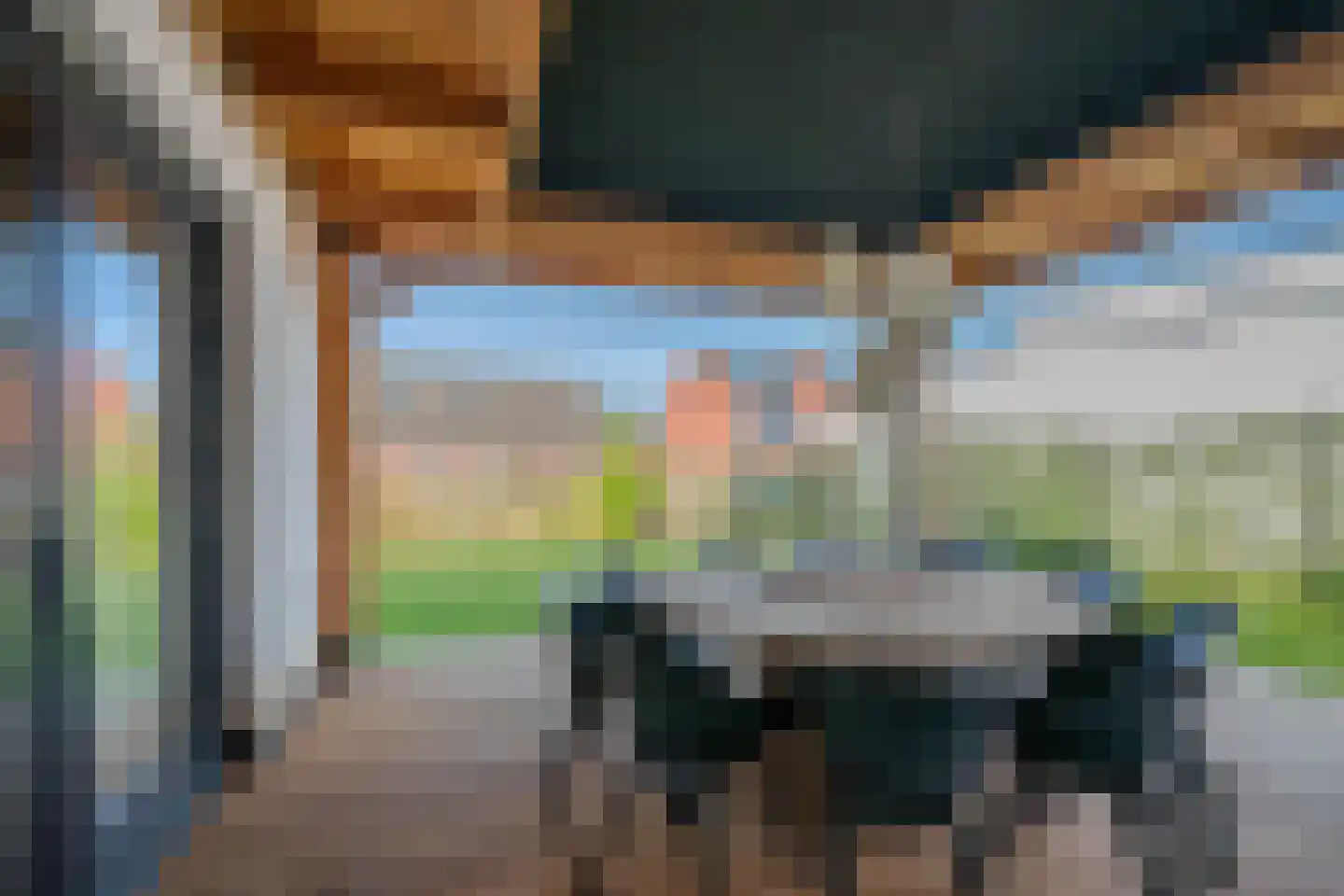 Tureluur 50 Venray thumbnail 68