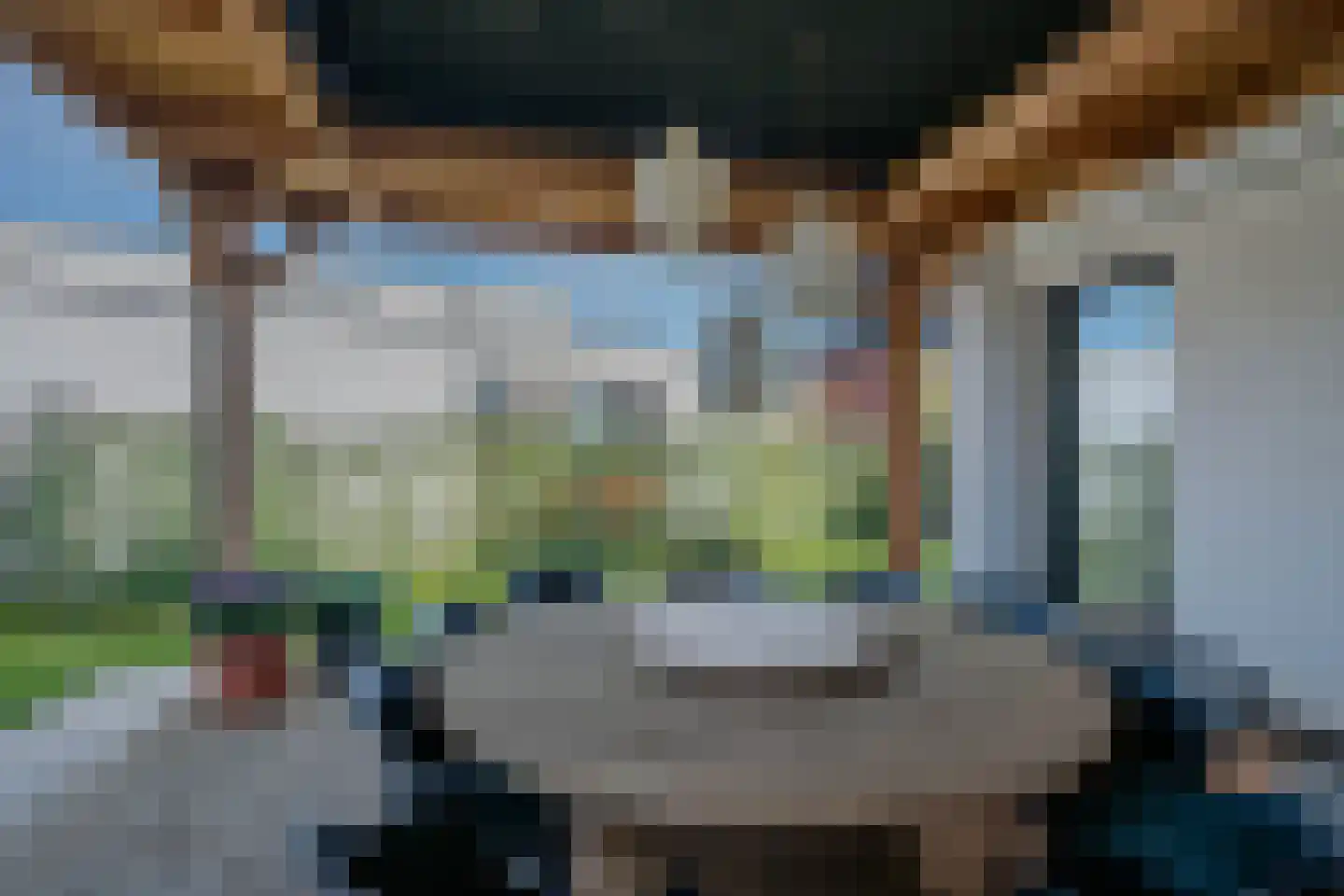 Tureluur 50 Venray thumbnail 69