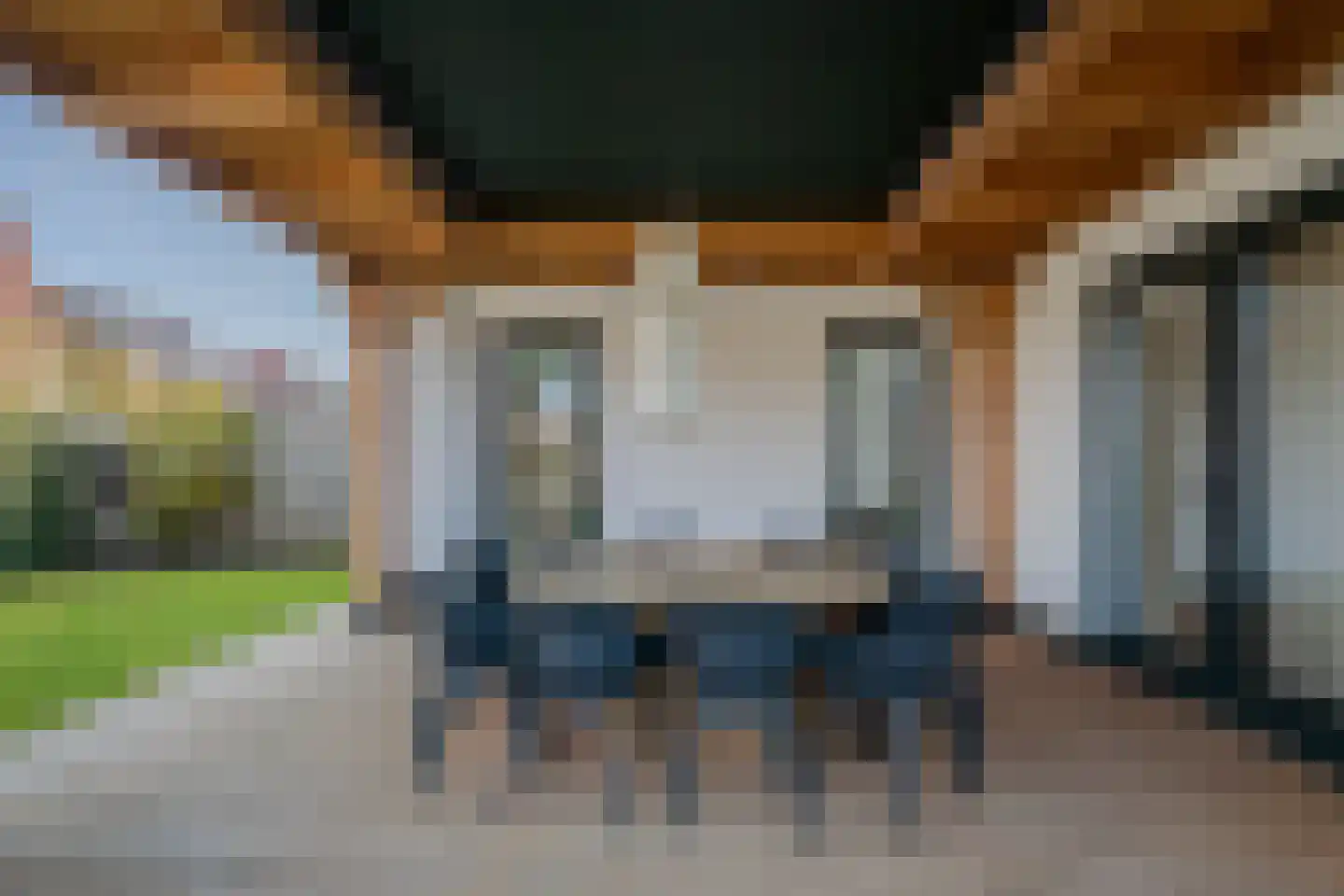 Tureluur 50 Venray thumbnail 75