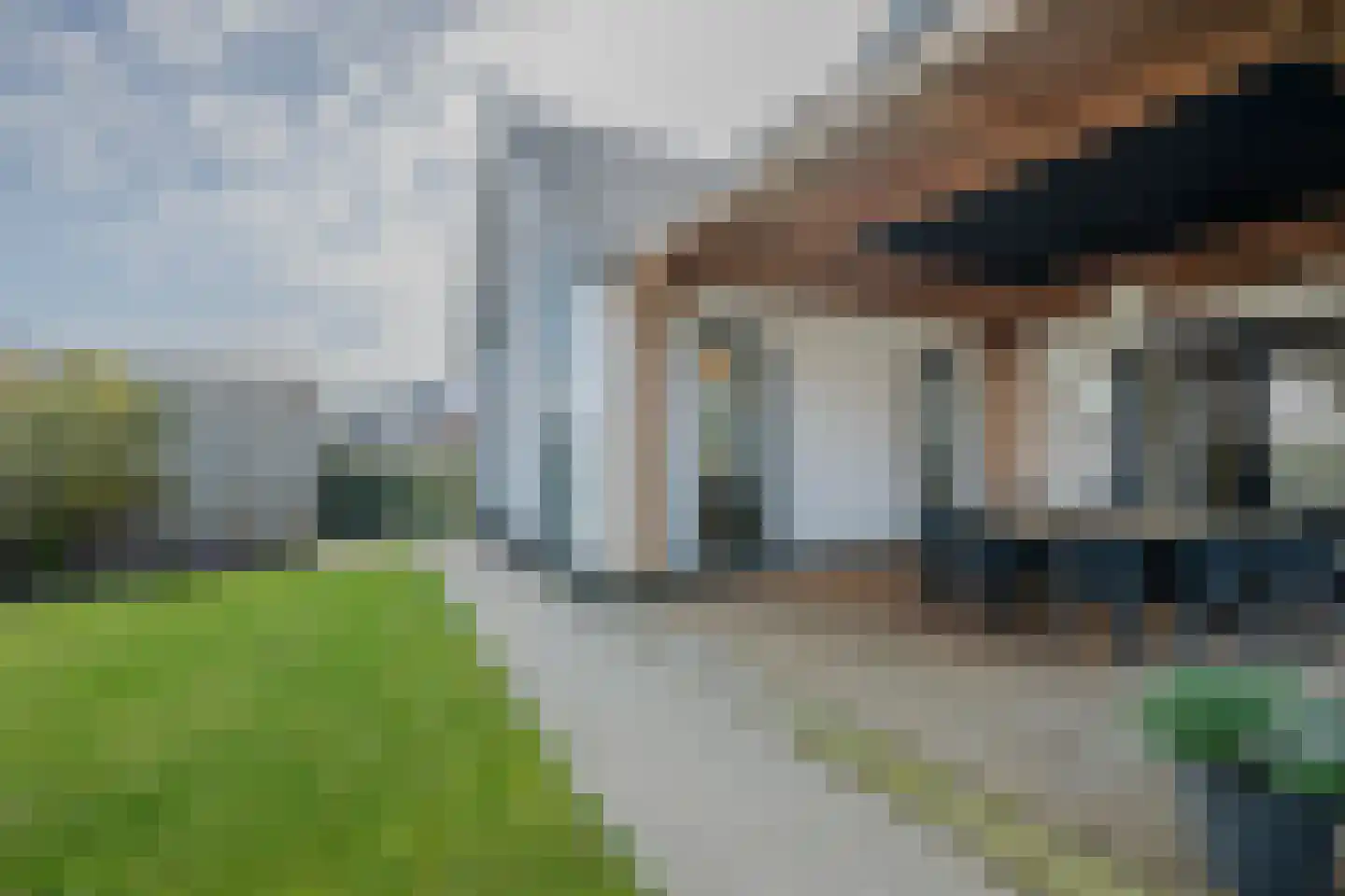 Tureluur 50 Venray thumbnail 76