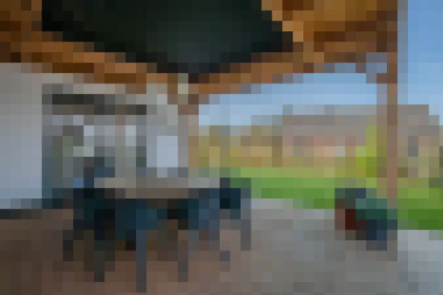 Tureluur 50 Venray thumbnail 78