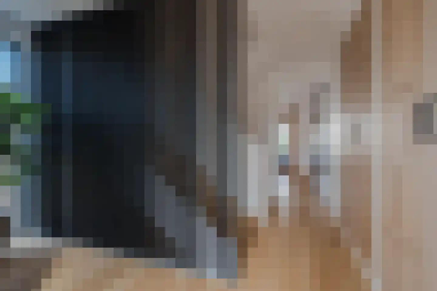 Tureluur 50 Venray thumbnail 8