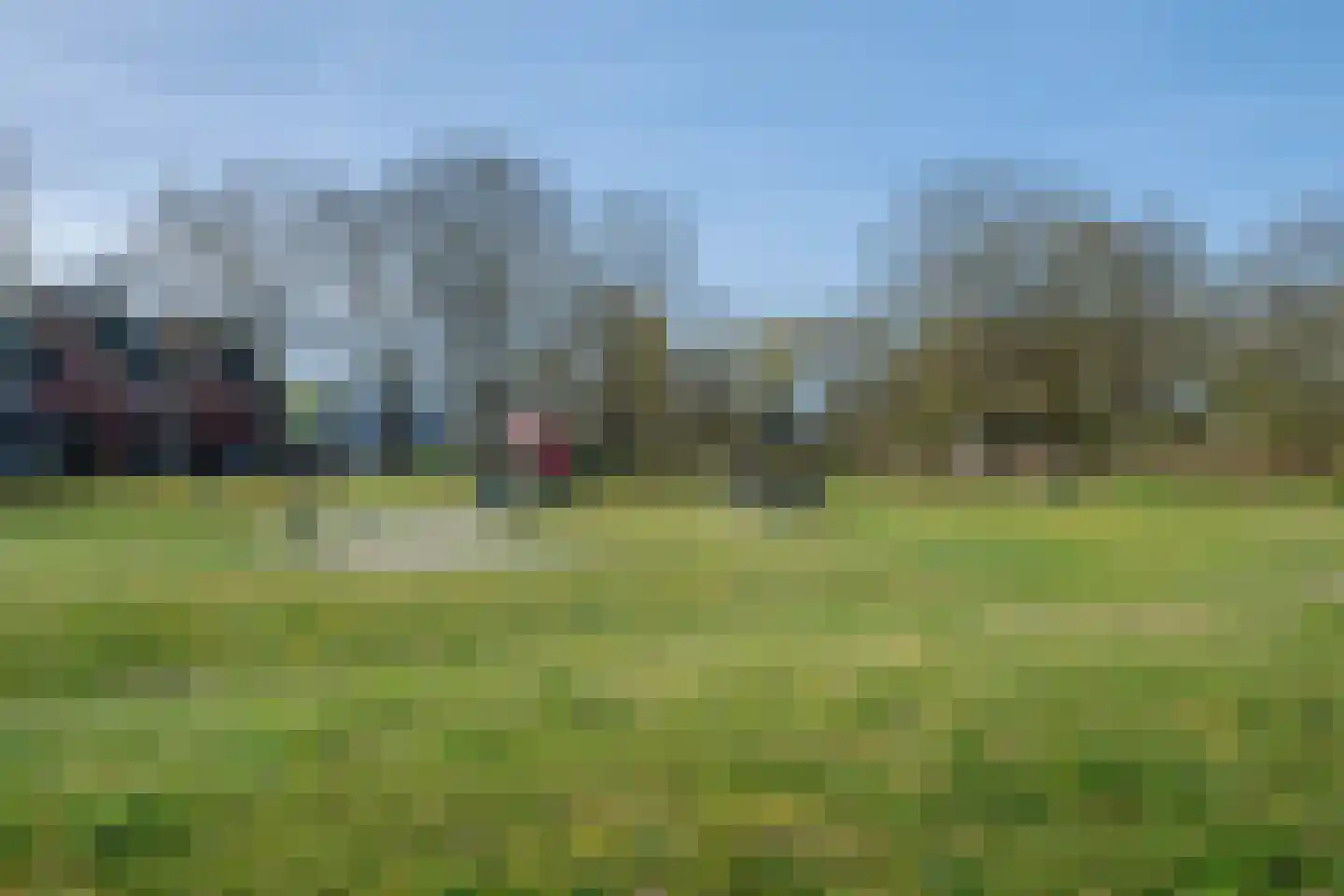 Tureluur 50 Venray thumbnail 89