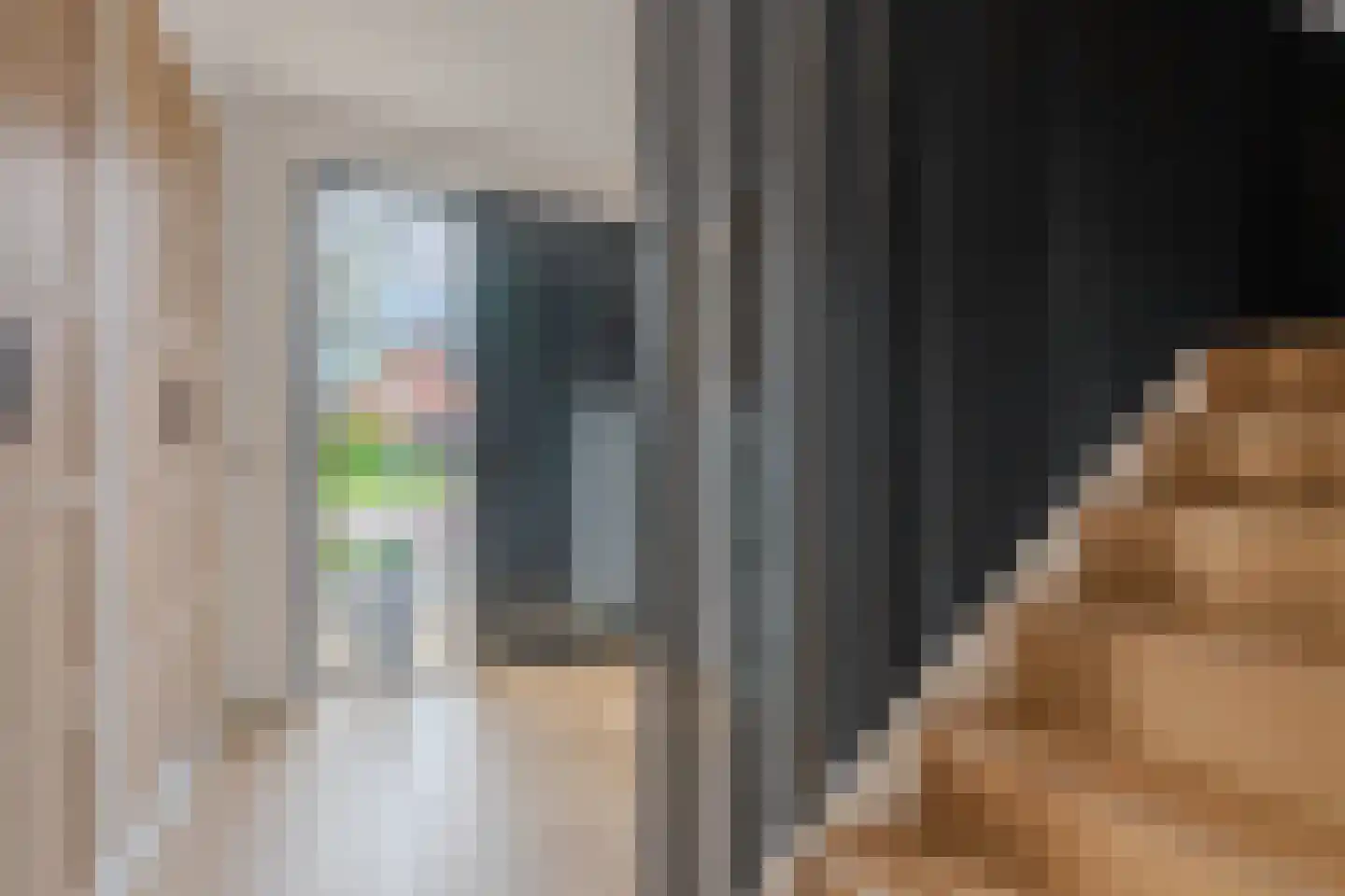 Tureluur 50 Venray thumbnail 9