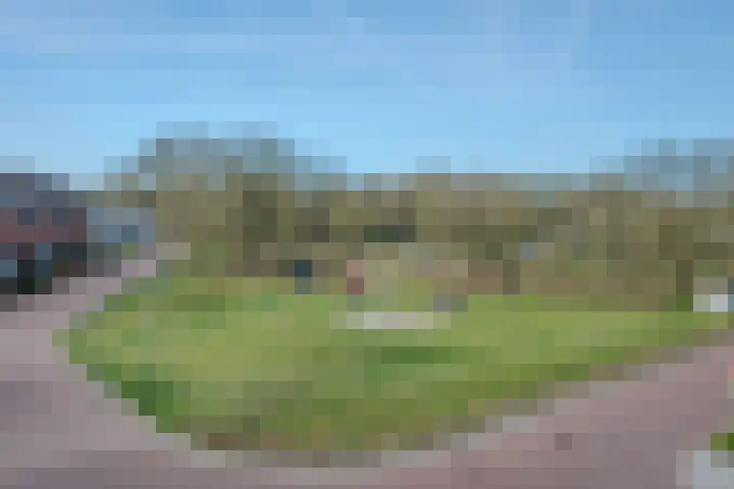 Tureluur 50 Venray thumbnail 90