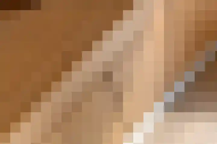 Tureluur 55 Maurik thumbnail 12