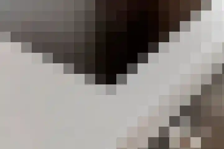 Tureluur 55 Maurik thumbnail 19