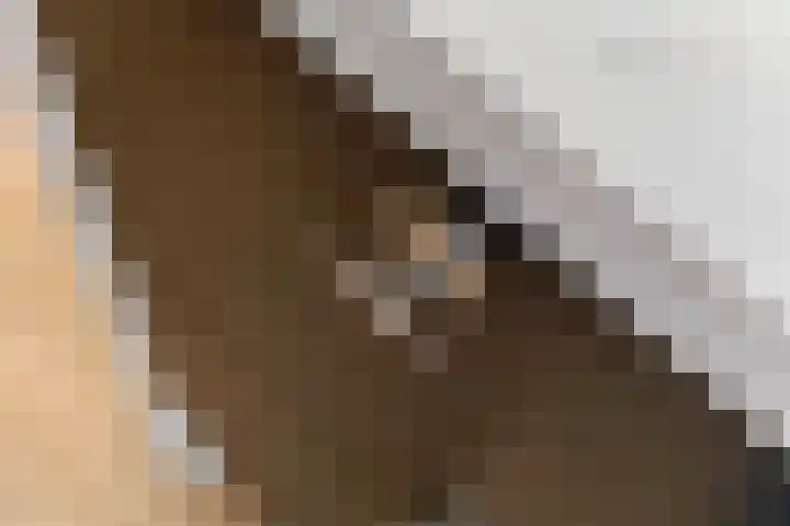 Tureluur 55 Maurik thumbnail 21