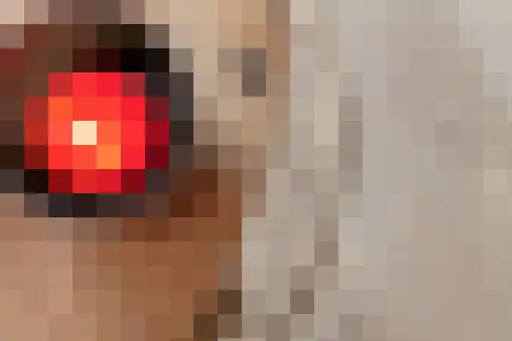 Tureluur 55 Maurik thumbnail 23