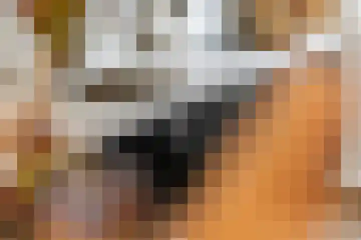 Tureluur 55 Maurik thumbnail 24