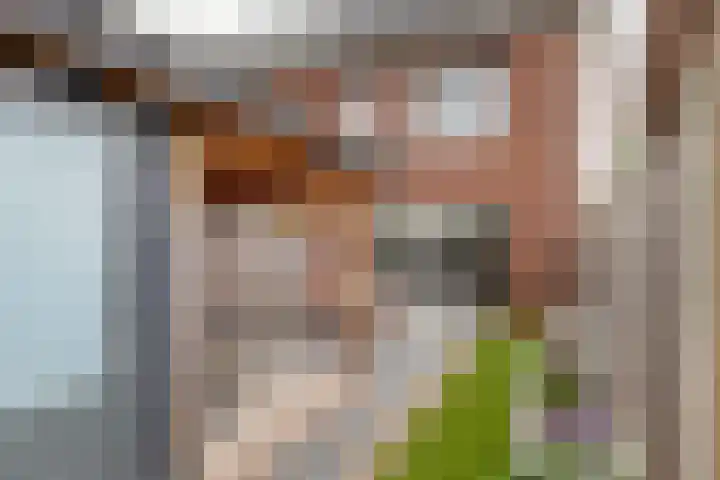 Tureluur 55 Maurik thumbnail 26