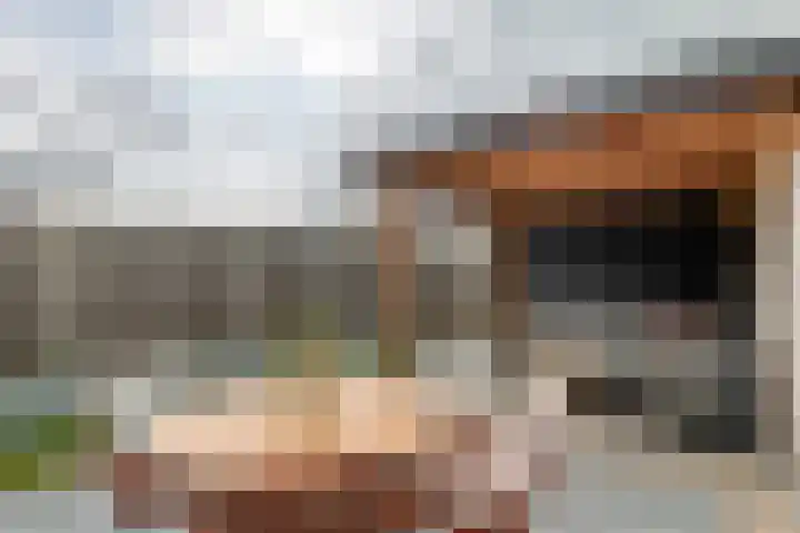 Tureluur 55 Maurik thumbnail 28