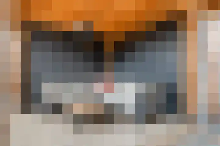 Tureluur 55 Maurik thumbnail 29