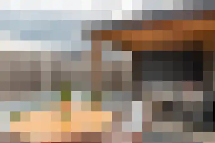 Tureluur 55 Maurik thumbnail 30
