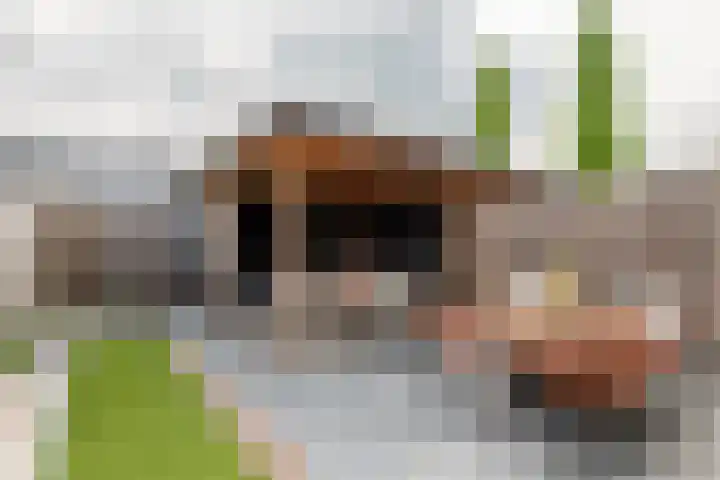 Tureluur 55 Maurik thumbnail 32