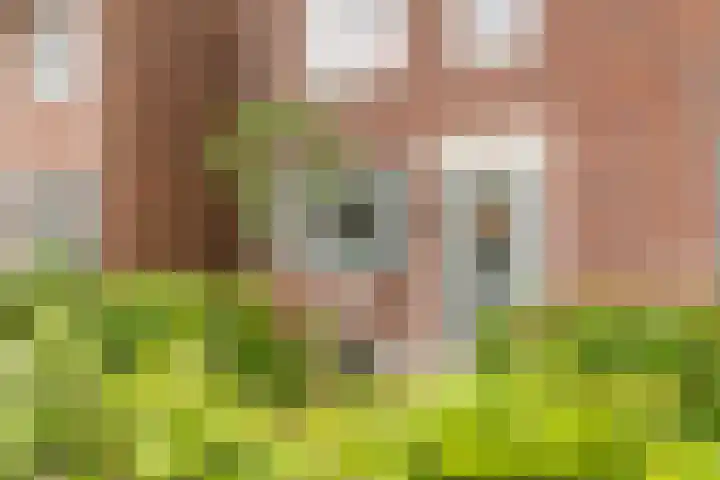 Tureluur 55 Maurik thumbnail 34