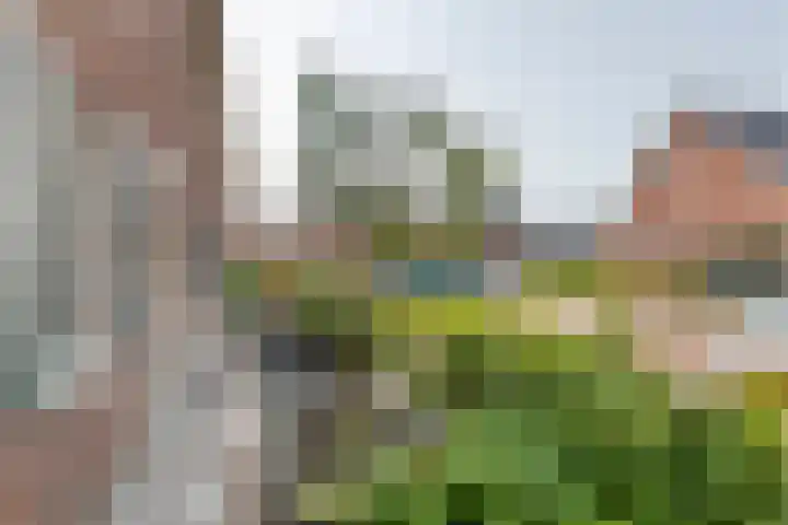 Tureluur 55 Maurik thumbnail 35
