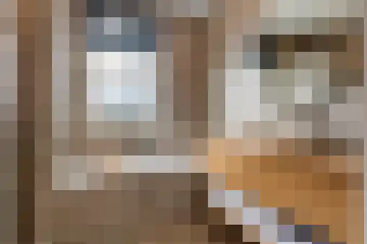 Tureluur 55 Maurik thumbnail 4