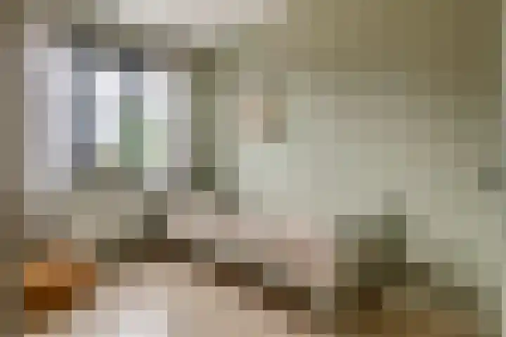 Tureluur 55 Maurik thumbnail 46