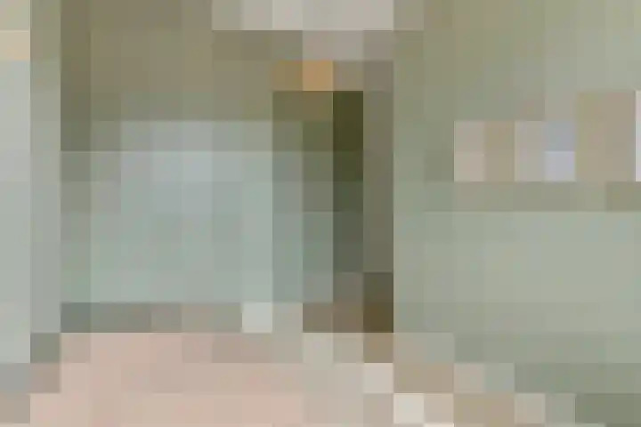 Tureluur 55 Maurik thumbnail 47