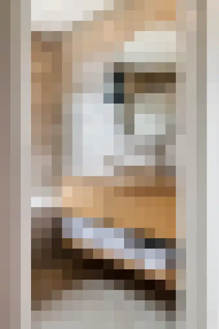 Tureluur 55 Maurik thumbnail 48