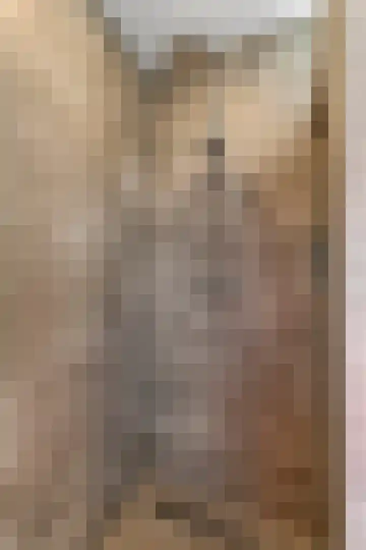 Tureluur 55 Maurik thumbnail 50