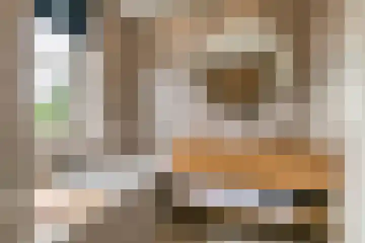 Tureluur 55 Maurik thumbnail 51