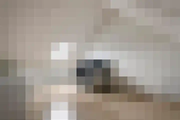 Tureluur 55 Maurik thumbnail 52