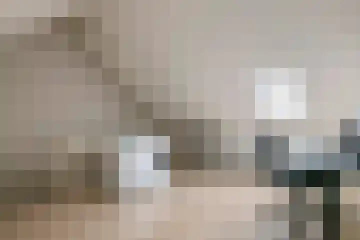 Tureluur 55 Maurik thumbnail 53