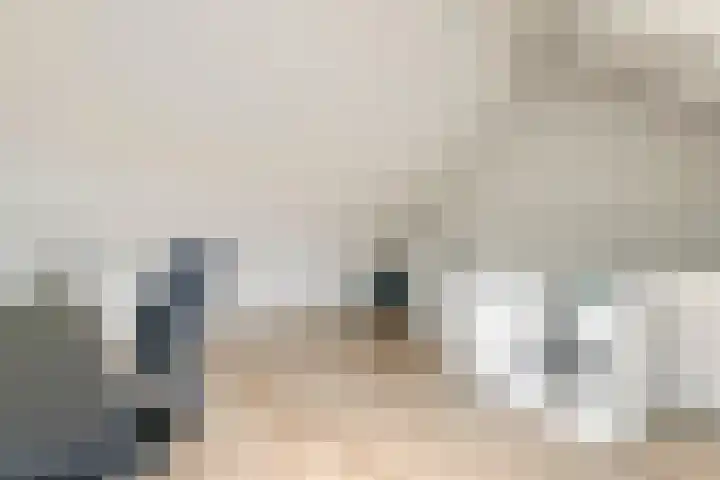 Tureluur 55 Maurik thumbnail 54