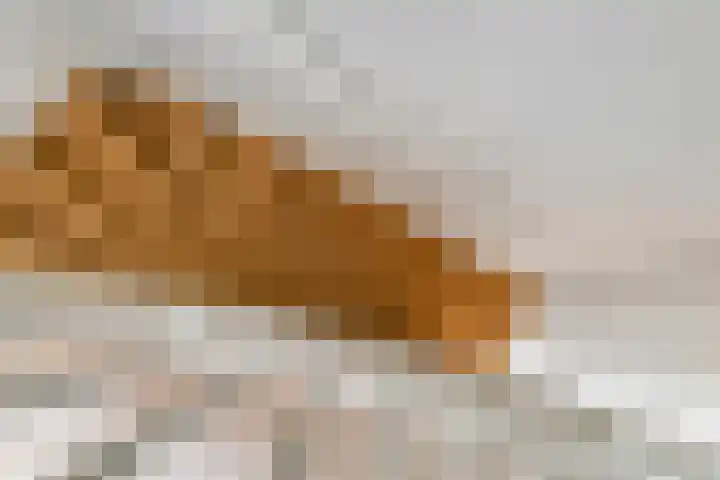 Tureluur 55 Maurik thumbnail 55