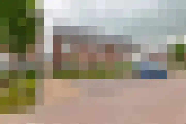 Tureluur 55 Maurik thumbnail 56