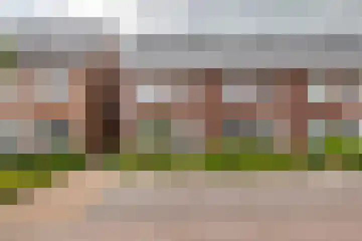 Tureluur 55 Maurik thumbnail 57