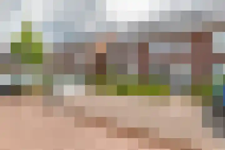 Tureluur 55 Maurik thumbnail 58