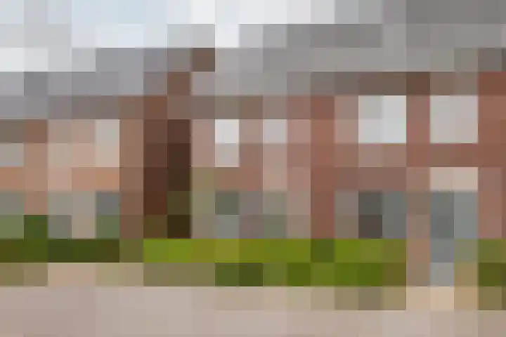 Tureluur 55 Maurik thumbnail 6
