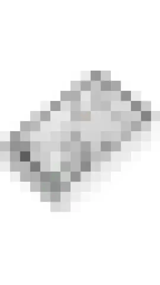 Tureluur 55 Maurik thumbnail 60