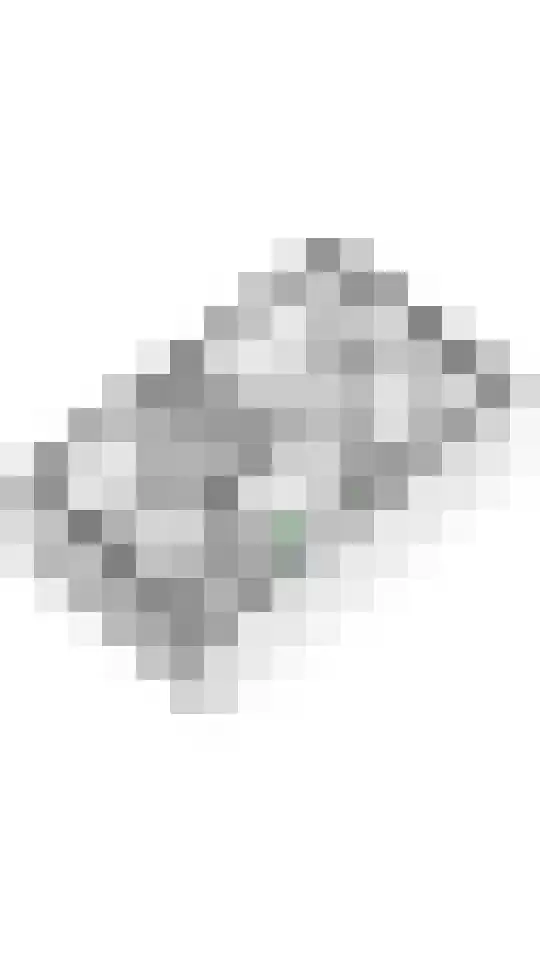 Tureluur 55 Maurik thumbnail 62